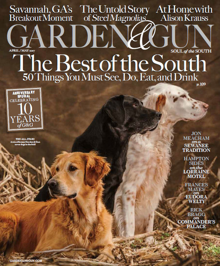 Golden Retriever Training South Carolina Webfoot Retrievers